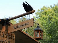 IMG 8193 1200h 600h+copy